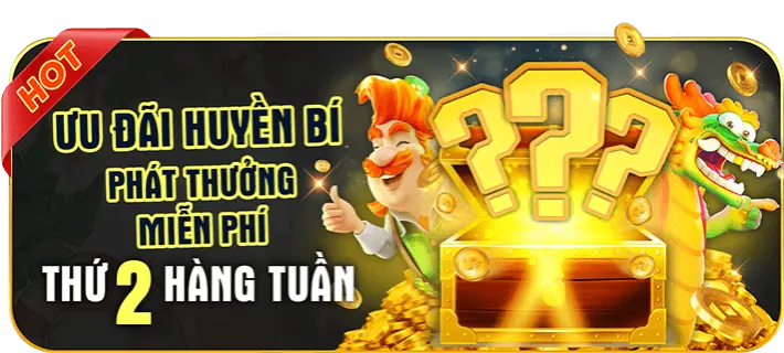 Hoàn trả cược hàng ngày/tuần