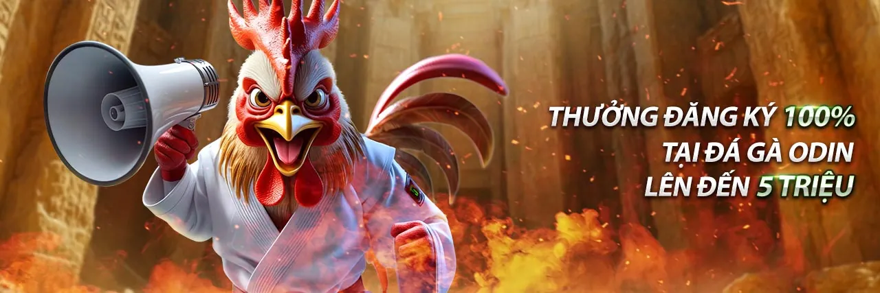 Tin tức WIN55 mới nhất và ưu đãi 55K