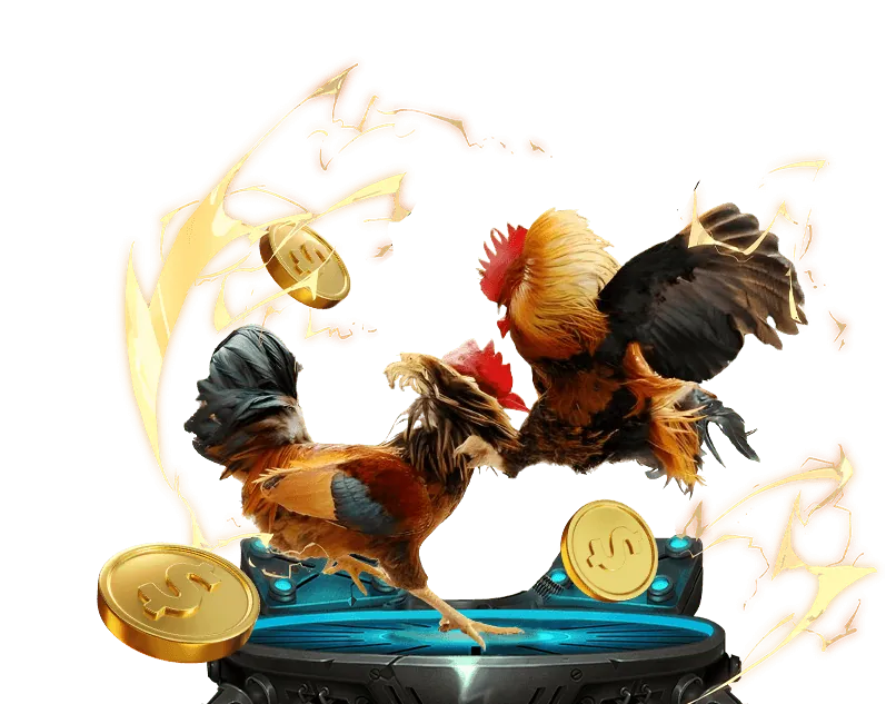 Đá gà Thomo Campuchia trực tiếp